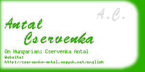 antal cservenka business card